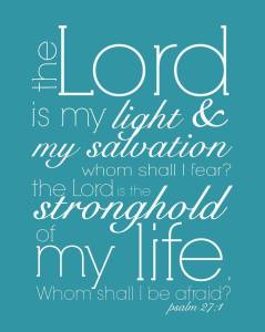 1555519_10152153197268903_1932343038_n