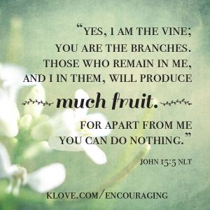 1511440_10152586605039056_2068270291_n