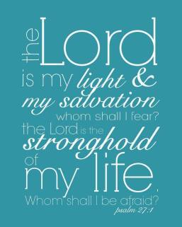 1555519_10152153197268903_1932343038_n