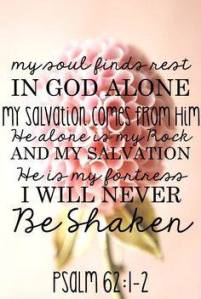 1962598_625965564160299_1541362815_n