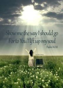 1958223_10153912764580010_1171059573_n