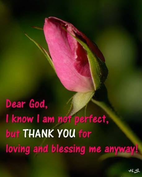 11322_721118381311683_6963895491327256752_n