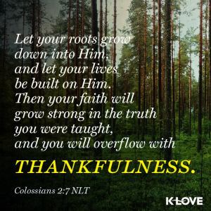 10801652_10153320293029056_3028493532725452217_n