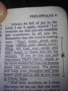 988421_10152288974732777_1530475933_n