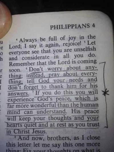 988421_10152288974732777_1530475933_n