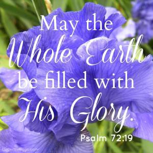 10292392_10152343384781961_6792993637860813019_n