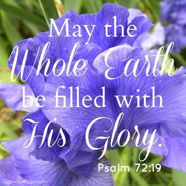 10292392_10152343384781961_6792993637860813019_n