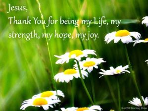 150777_10152599146215806_4613872228667288594_n