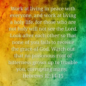 11428049_10153321077277380_1126036130686202484_n