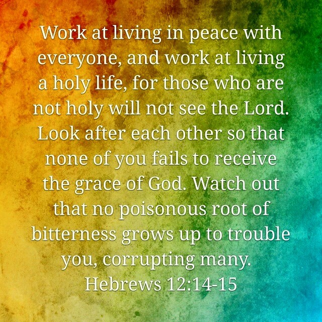 11428049_10153321077277380_1126036130686202484_n