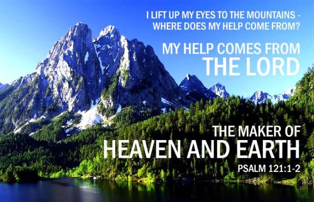 12929_10204965529071645_1313859550209088482_n