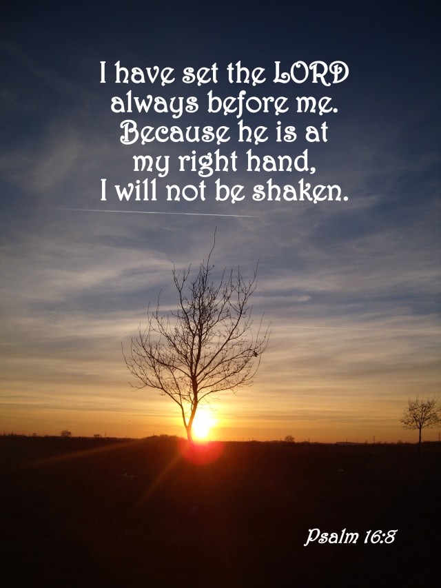 Psalm 16 8
