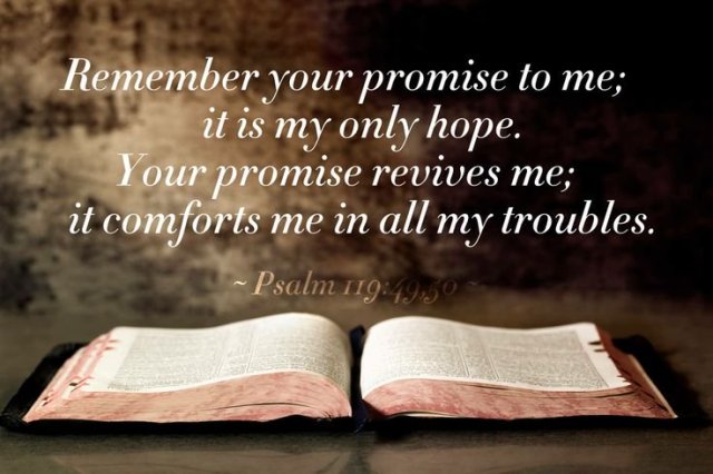 psalm-119-bible