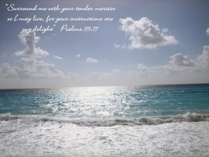 mercy-word-is-my-delight