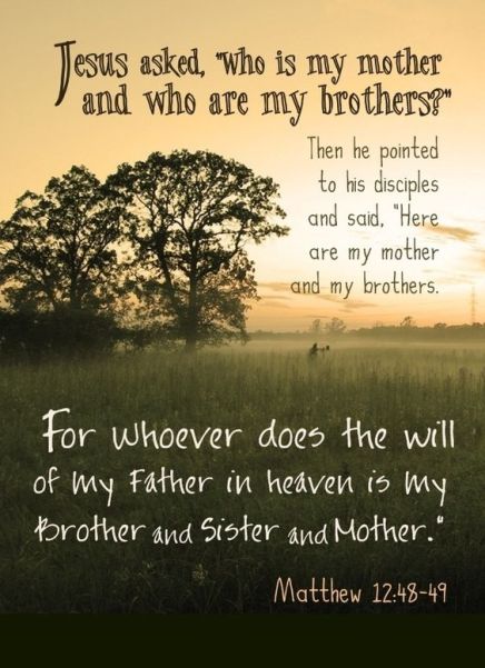 Matthew 12 brothers