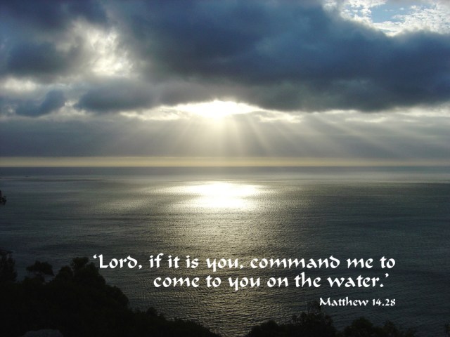 matthew 14 if it is you