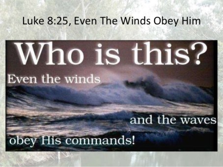 Luke 8 waves