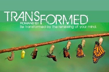 Romans 12 transformed
