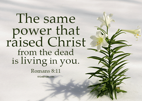 Romans 8 power in us