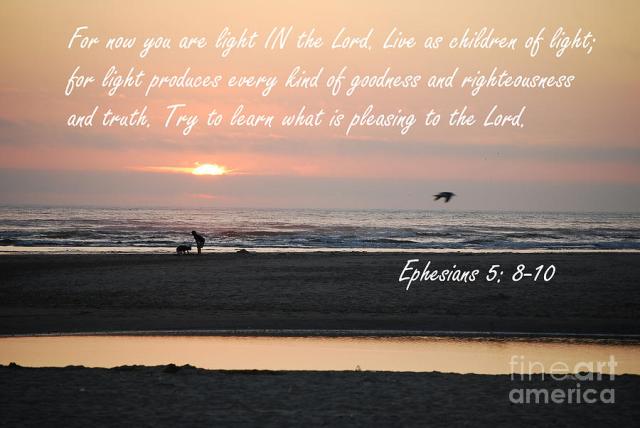 Ephesians 5 8 10