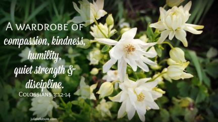 Colossians 3 wardrobe
