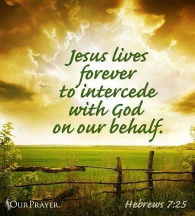 Hebrews 7 our priest