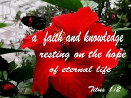 Titus 1 hope and knowledge