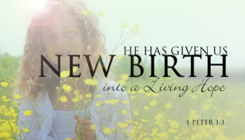 1 Pter 1 new life