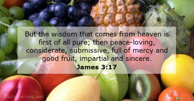 James 3 17
