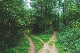 Psalm 1 two roads