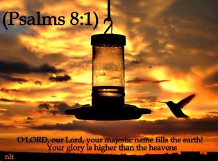 Psalm 8 glory of God