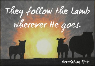 Revelation 14 follow