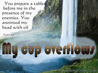 Psalm 23 cup overflows.jpg