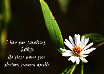 Psalm 26 house of God