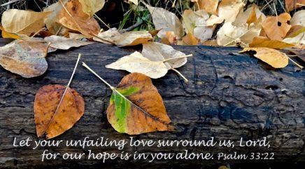 Psalm 33 hope is in you