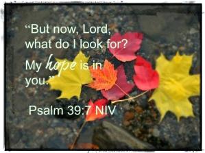 Psalm 39 hope in You