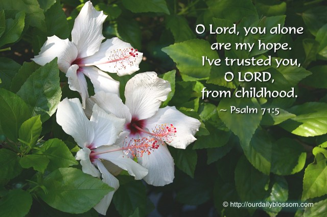 Psalm 71 hope