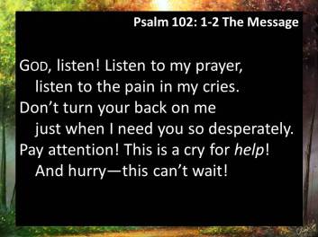 Psalm 102 2 message