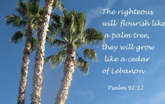 Psalm 92 12
