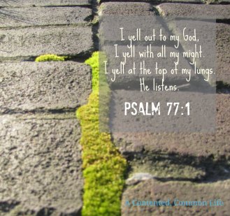 Psalm 77 I yell