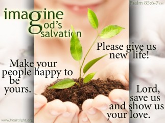 Psalm 85 salvation