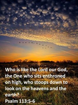 psalm 113 5