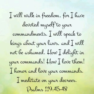 psalm 119 48