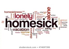 psalm 119 homesick