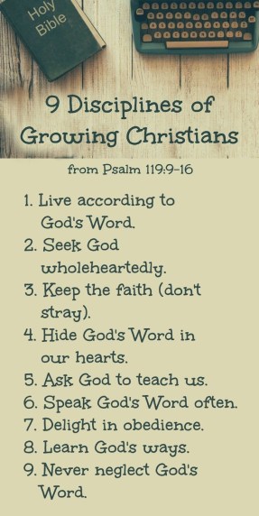 psalm-119-how-to-live.jpg