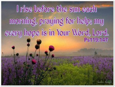 Psalm 119 147.jpg
