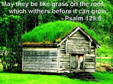 Psalm 129 grass on roof