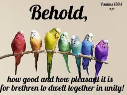 Psalm 133 birds