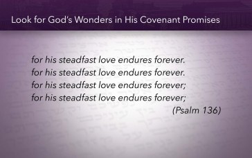 Psalm 136 wonders