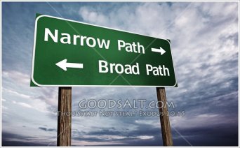 Matthew 7 narrow